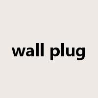 wall plug是什么意思