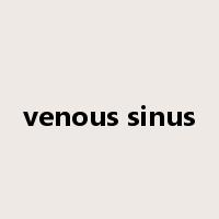 venous sinus是什么意思