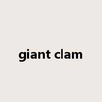 giant clam是什么意思