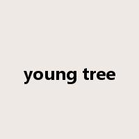 young tree是什么意思