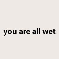 you are all wet是什么意思