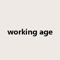 working age是什么意思