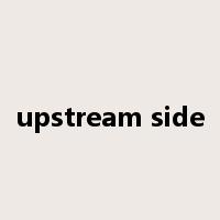 upstream side是什么意思