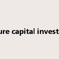 venture capital investment是什么意思