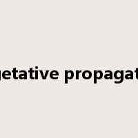 vegetative propagation是什么意思