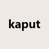 kaput是什么意思