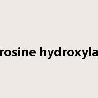 tyrosine hydroxylase是什么意思