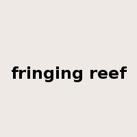 fringing reef是什么意思