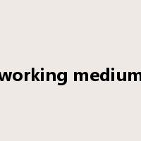 working medium是什么意思