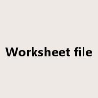 Worksheet file是什么意思