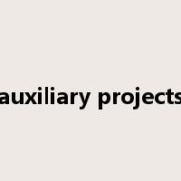 auxiliary projects是什么意思