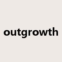 outgrowth是什么意思