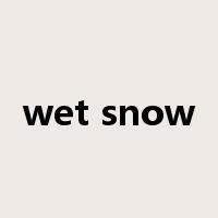 wet snow是什么意思