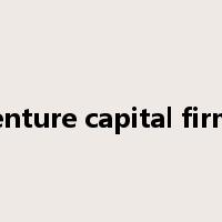 venture capital firms是什么意思