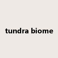 tundra biome是什么意思