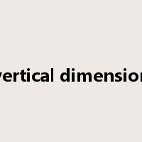 vertical dimension是什么意思