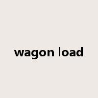 wagon load是什么意思