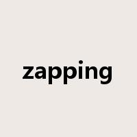zapping是什么意思