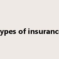 types of insurance是什么意思