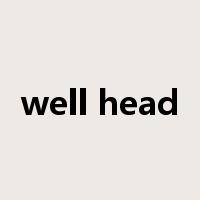 well head是什么意思