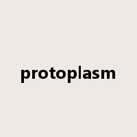protoplasm是什么意思