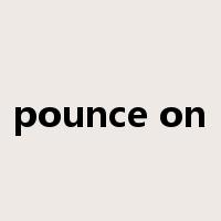 pounce on是什么意思