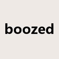 boozed是什么意思