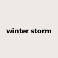 winter storm是什么意思
