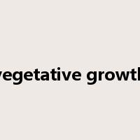 vegetative growth是什么意思
