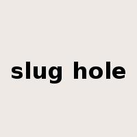 slug hole是什么意思