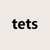 tets是什么意思