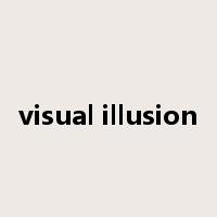 visual illusion是什么意思