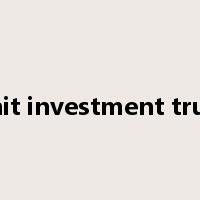 unit investment trust是什么意思