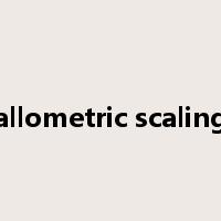 allometric scaling是什么意思