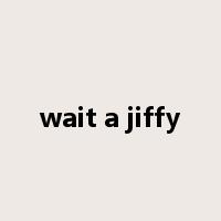 wait a jiffy是什么意思