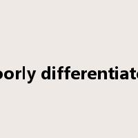 poorly differentiated是什么意思