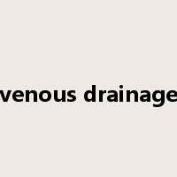 venous drainage是什么意思