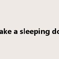 wake a sleeping dog是什么意思
