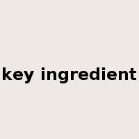 key ingredient是什么意思