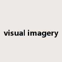 visual imagery是什么意思
