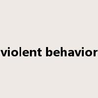 violent behavior是什么意思