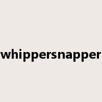 whippersnapper是什么意思