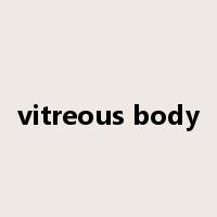 vitreous body是什么意思