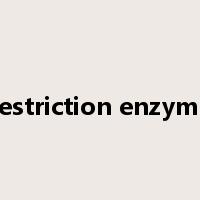 restriction enzyme是什么意思