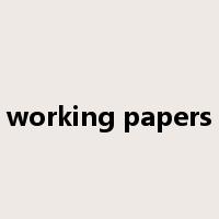 working papers是什么意思
