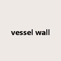 vessel wall是什么意思