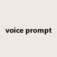 voice prompt是什么意思