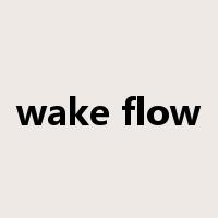 wake flow是什么意思