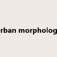 urban morphology是什么意思