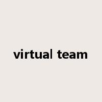 virtual team是什么意思